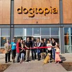 Dogtopia