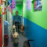 Hounds Town USA