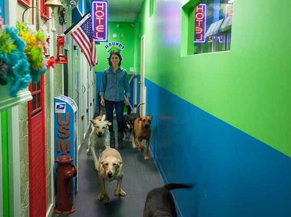 Hounds Town USA